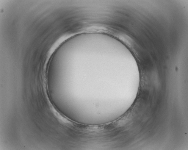 X0000066521478200603241324