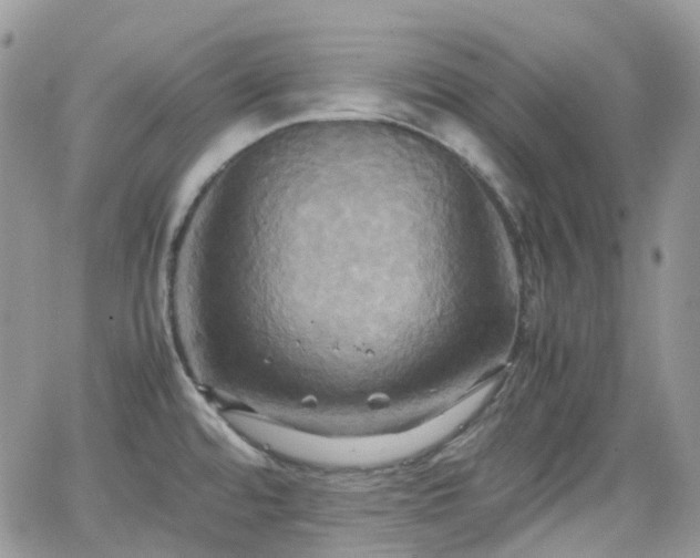 X0000066521480200603241324