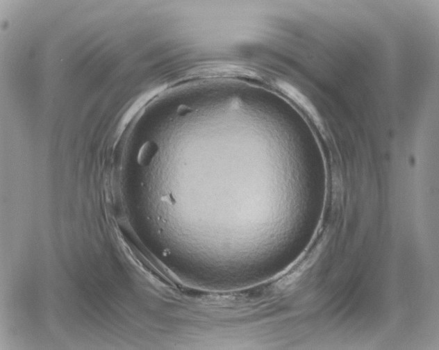 X0000066521481200603241324