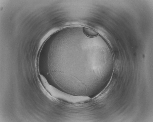 X0000066521482200603241324