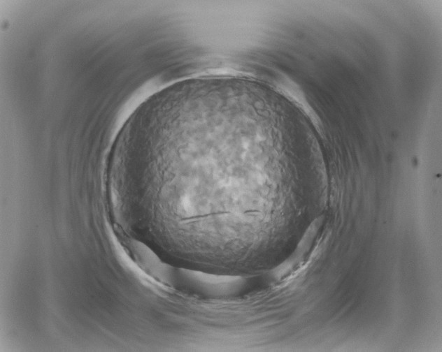 X0000066521483200603241324