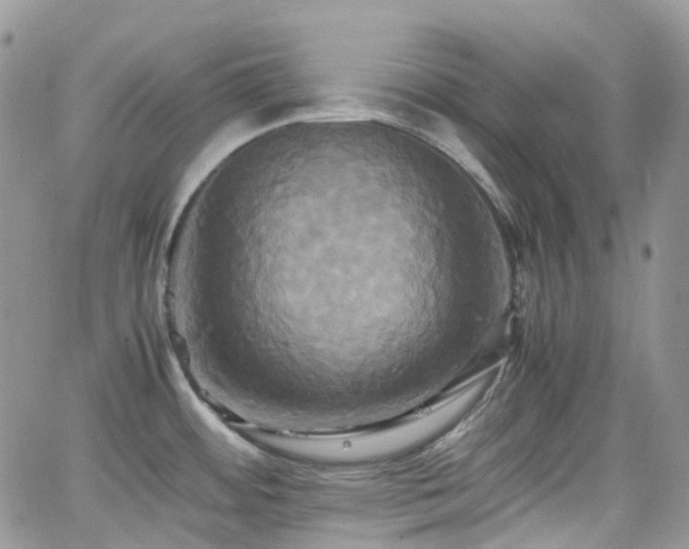 X0000066521484200603241324