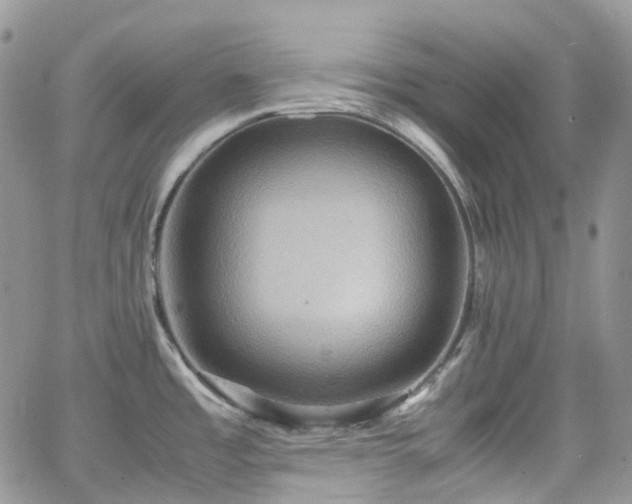 X0000066521485200603241324