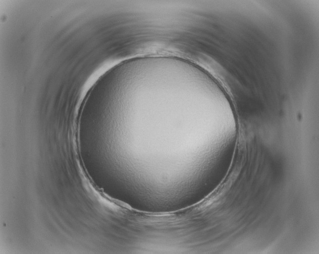 X0000066521486200603241324