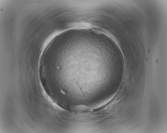 X0000066521488200603241324