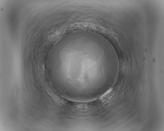 X0000066521489200603241323