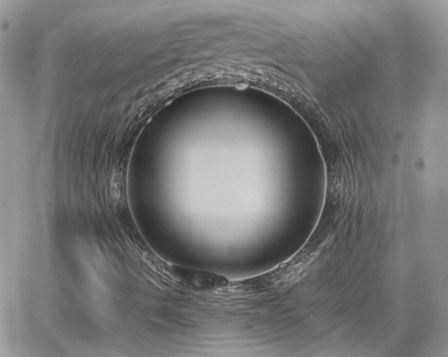 X0000066521490200603241323