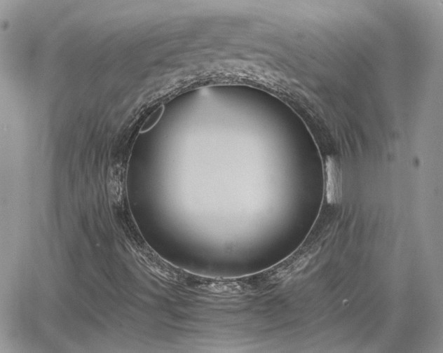 X0000066521491200603241323