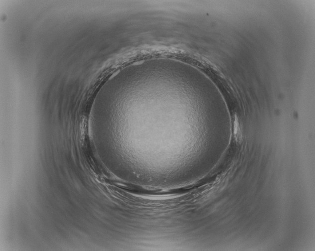 X0000066521492200603241323