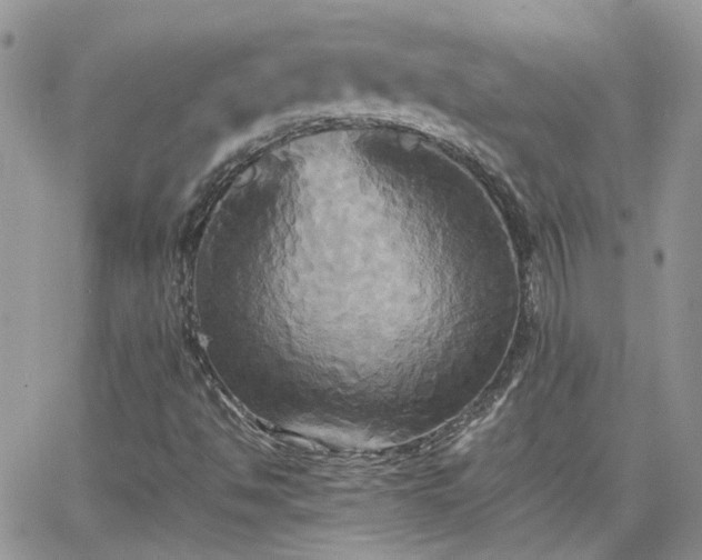 X0000066521494200603241323