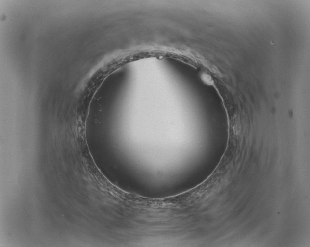 X0000066521495200603241323