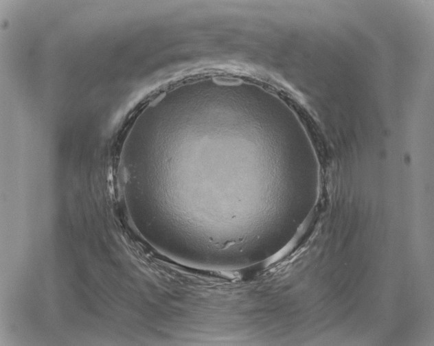 X0000066521496200603241323