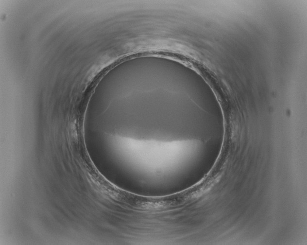 X0000066521497200603241323