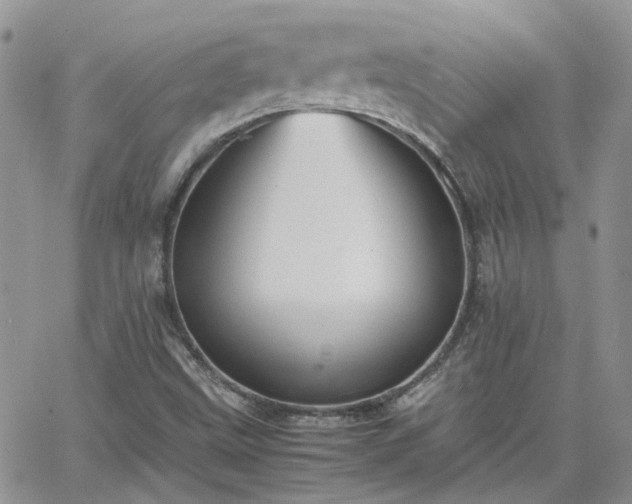 X0000066521499200603241323