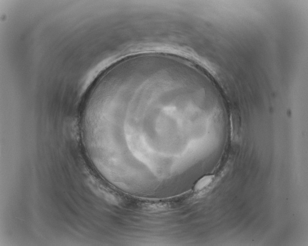 X0000066521501200603241323