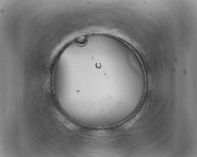 X0000066521502200603241323