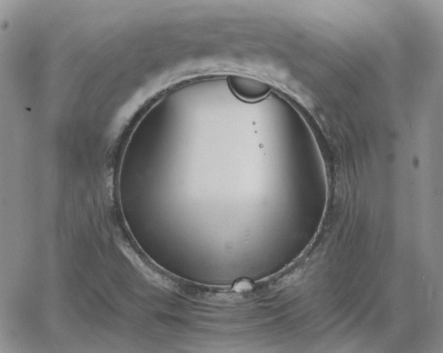 X0000066521503200603241323