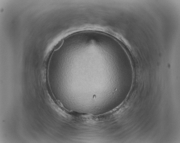 X0000066521504200603241323