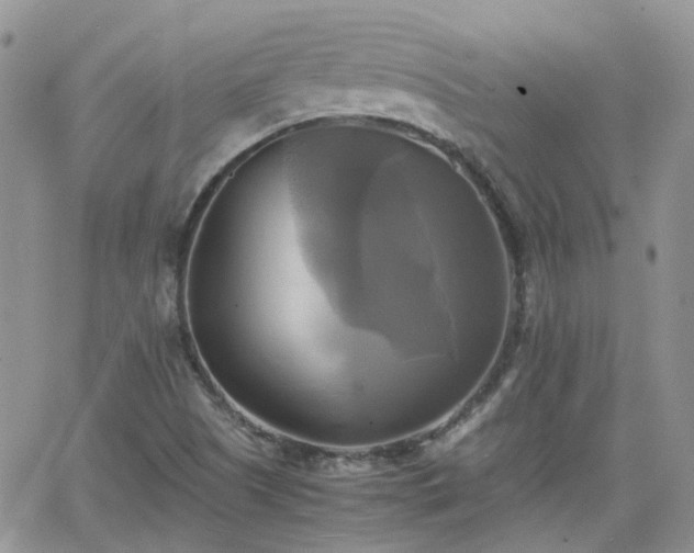 X0000066521505200603241323