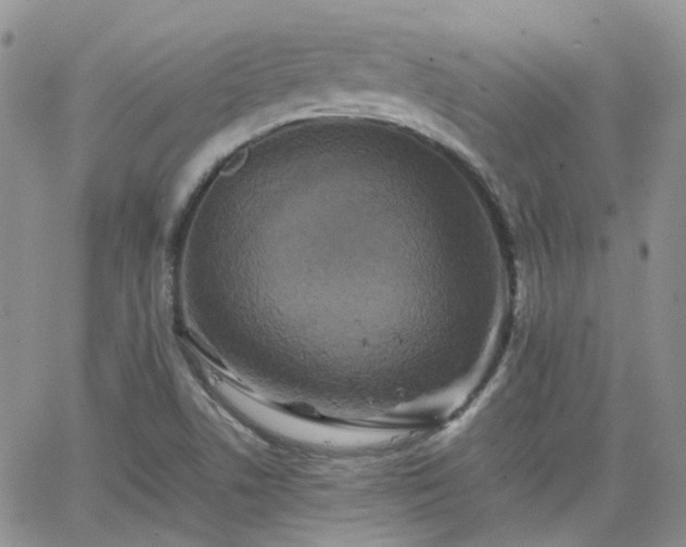 X0000066521506200603241323