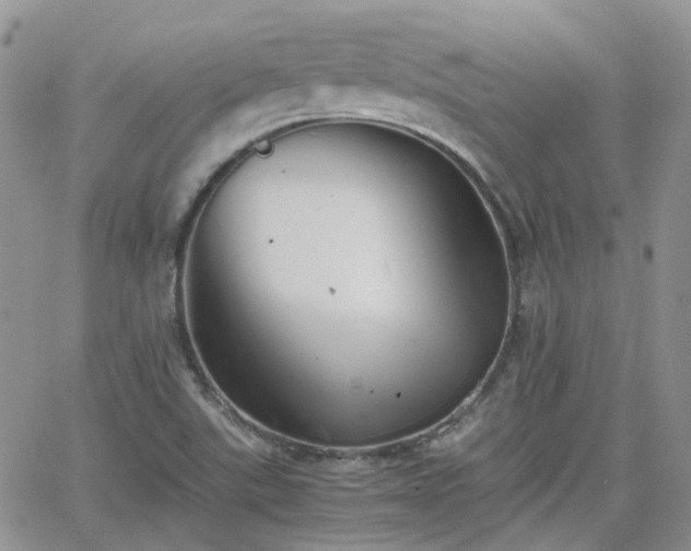 X0000066521507200603241323