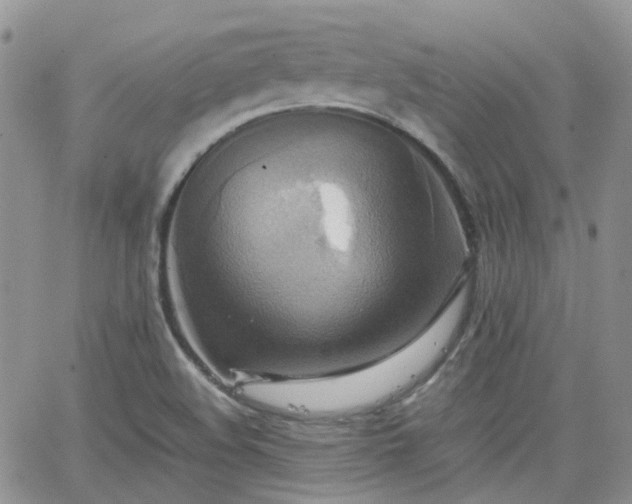 X0000066521508200603241323