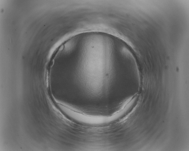 X0000066521510200603241323