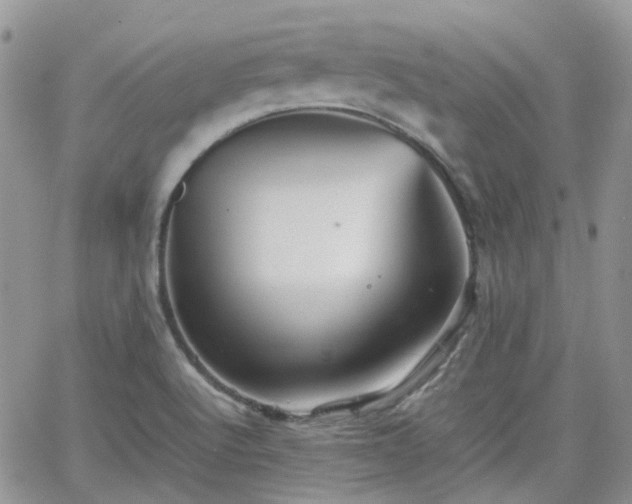 X0000066521512200603241323