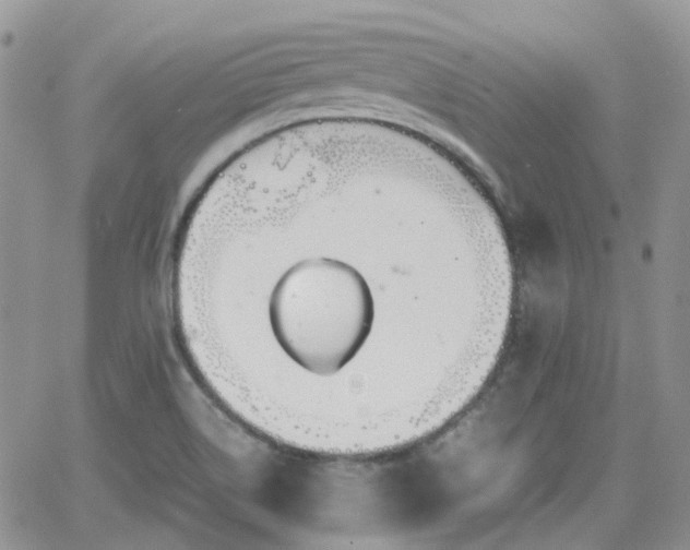 X0000066521514200603241323