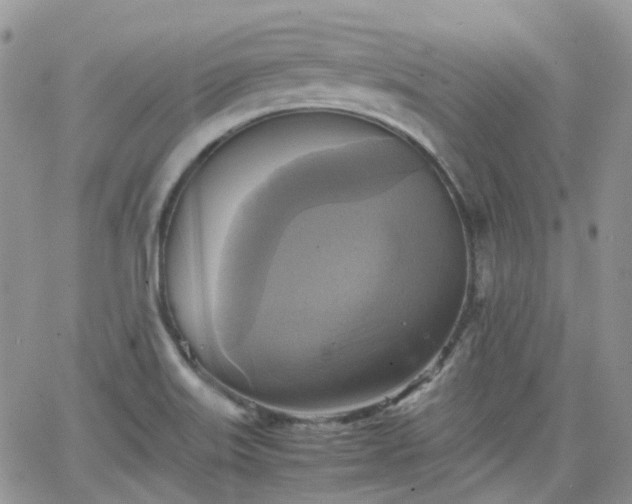 X0000066521515200603241323