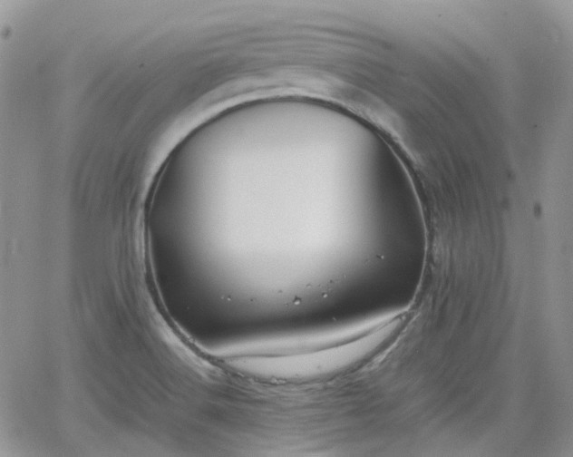 X0000066521516200603241323