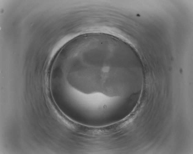 X0000066521517200603241324