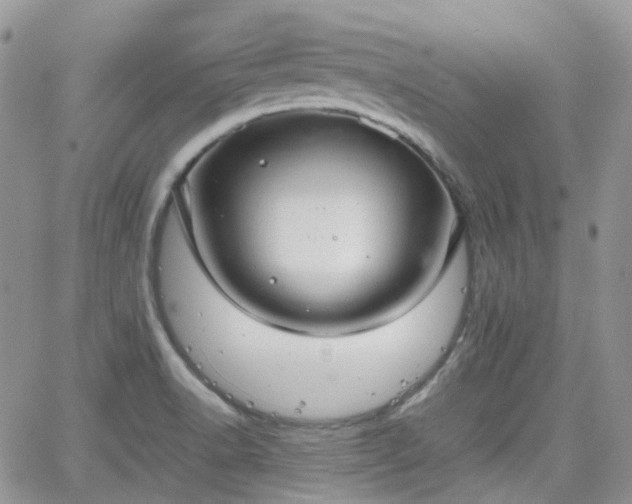 X0000066521518200603241324