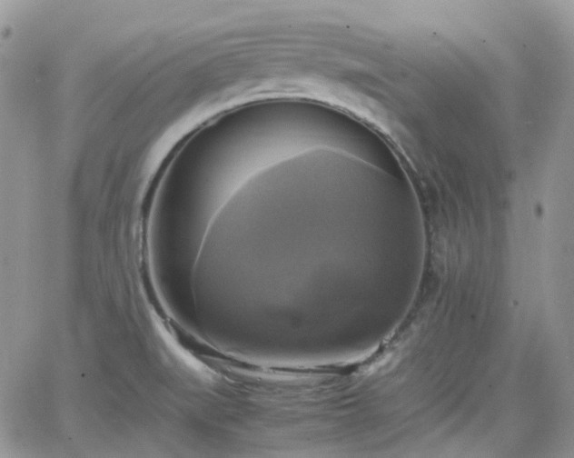 X0000066521519200603241324