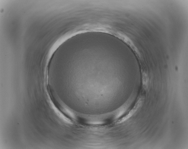 X0000066521520200603241324