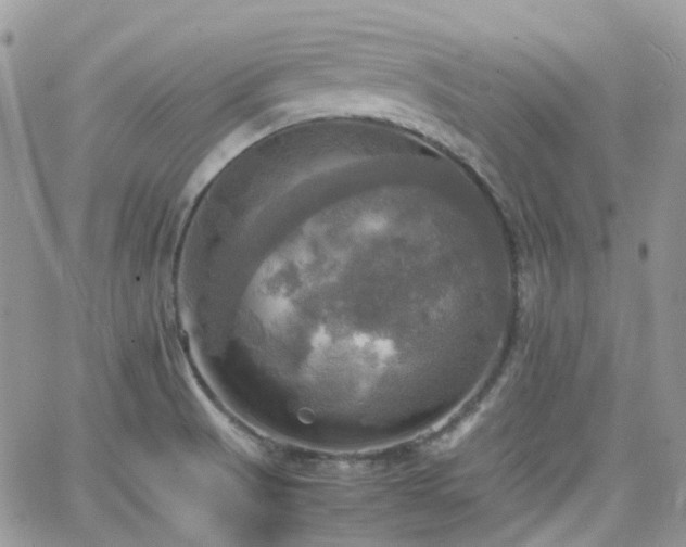 X0000066521521200603241324