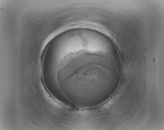 X0000066521522200603241324