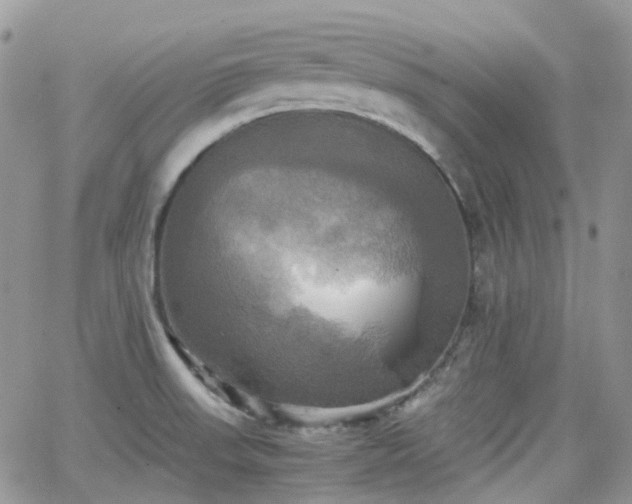 X0000066521523200603241324