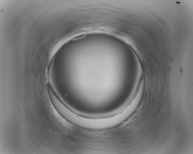 X0000066521524200603241324