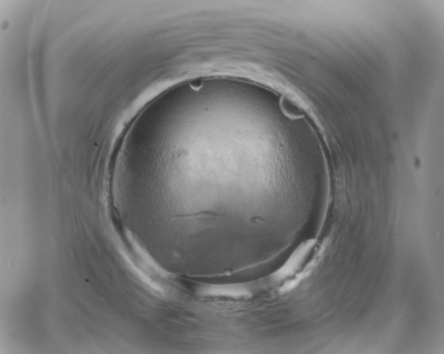 X0000066521525200603241324