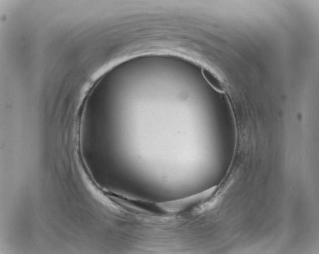 X0000066521526200603241324