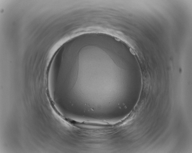 X0000066521527200603241324