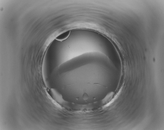 X0000066521529200603241324