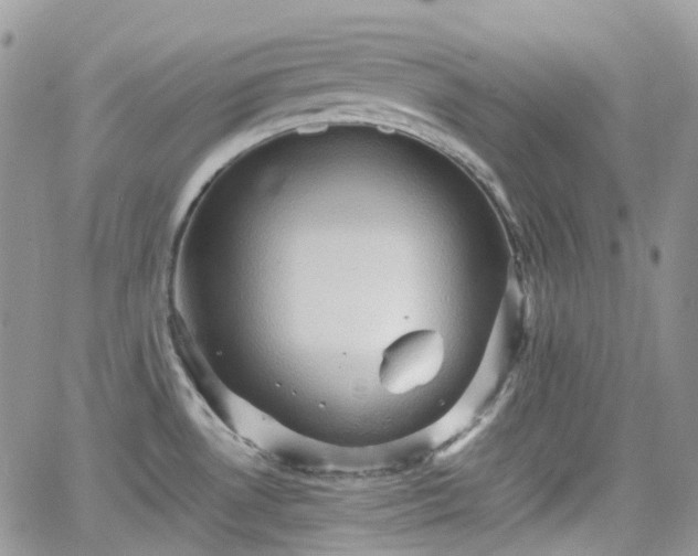 X0000066521530200603241324