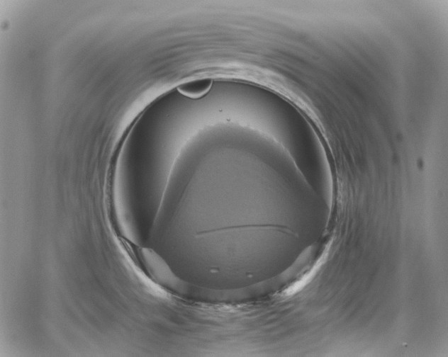 X0000066521533200603241324