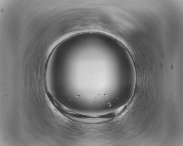 X0000066521534200603241324