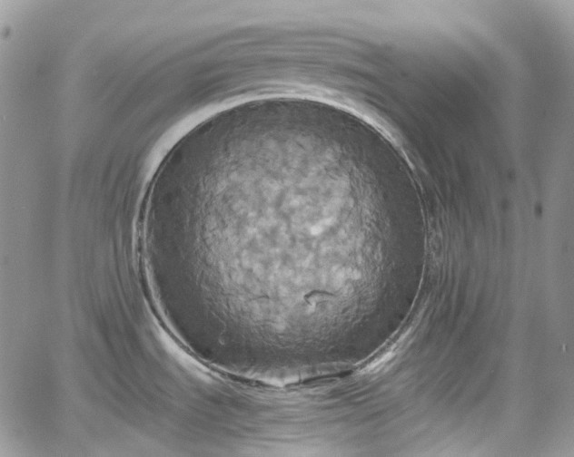 X0000066521535200603241324