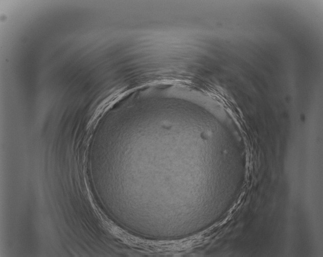 X0000066520001200603311806