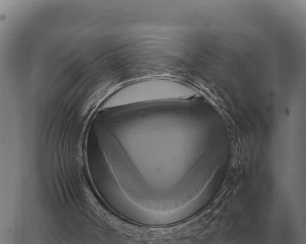 X0000066520002200603311806