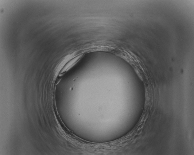 X0000066520003200603311806